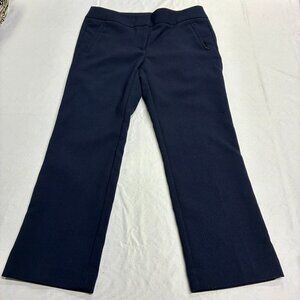 Navy Dress Pants Ann Taylor Loft Petites